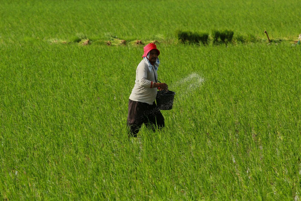 Segera Benahi Data RDKK Pupuk Subsidi