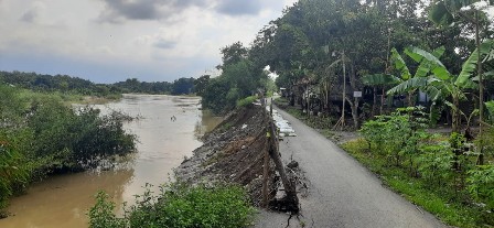 Warga Cemas saat Cimanuk Meluap