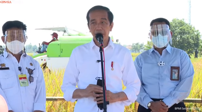 Jokowi Panen Raya di Indramayu