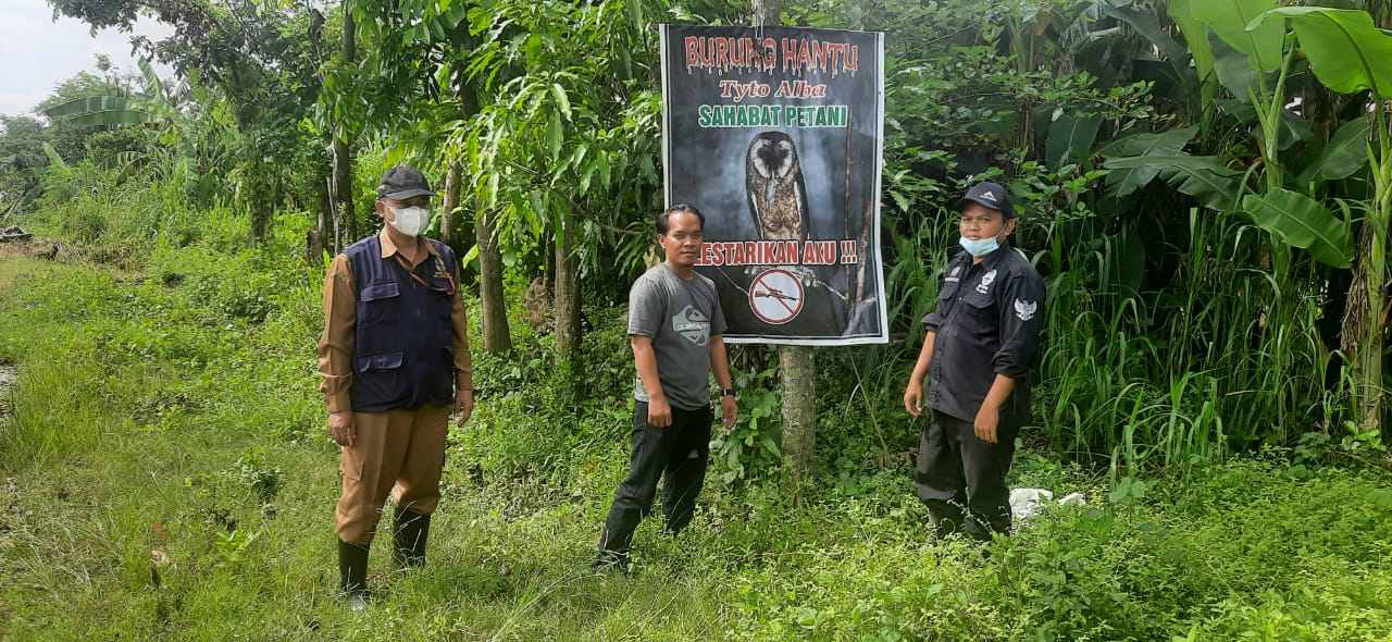 Kampanyekan Pelestarian Burung Hantu