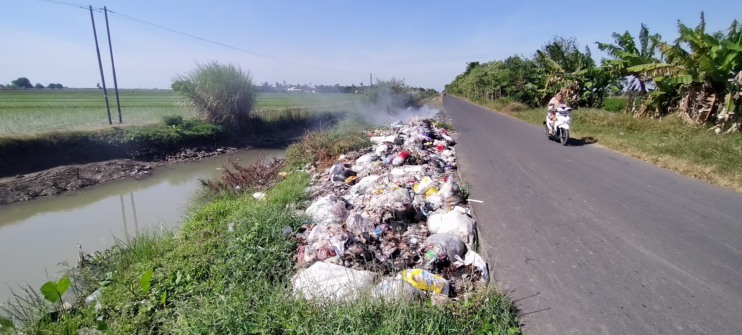 Tempat Sampah Ilegal Menjamur