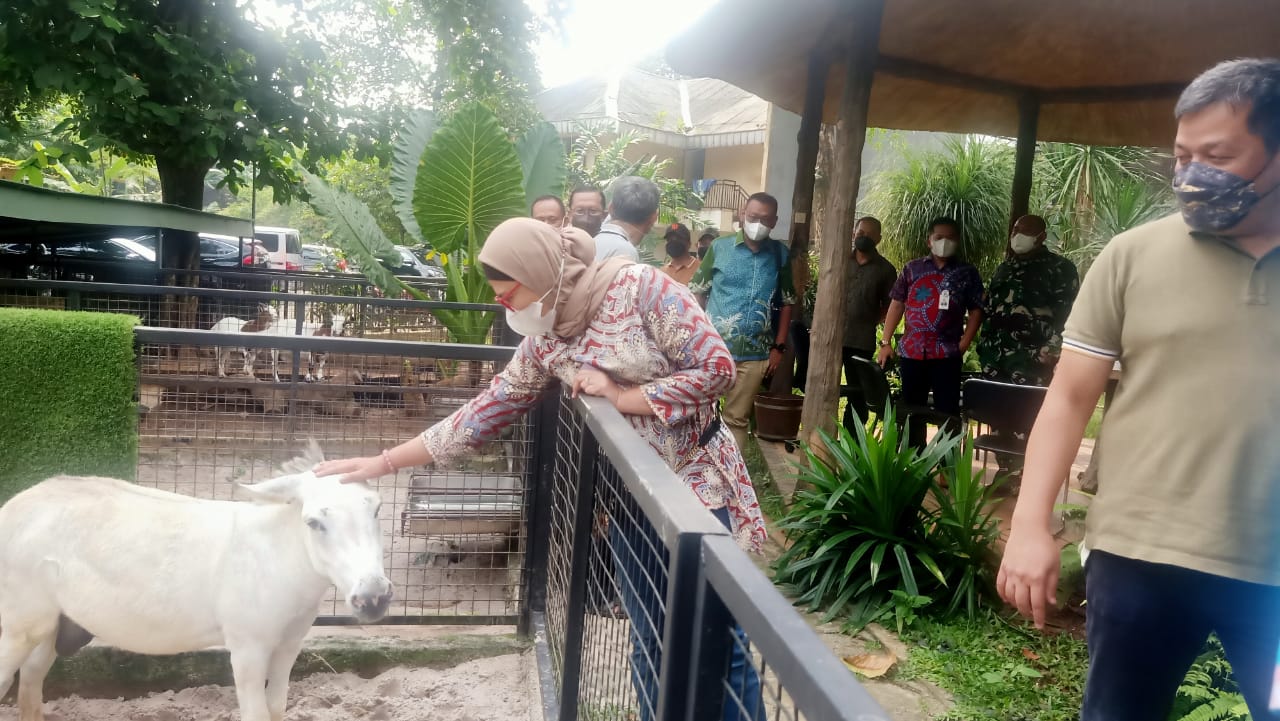 Wisata Kebun Binatang Bakal Hadir di Indramayu