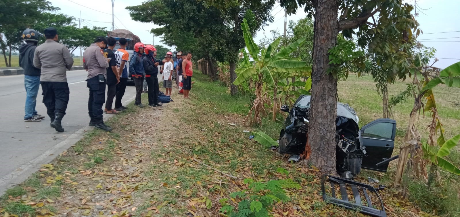 Grab Seruduk Pohon, Sopir Tewas