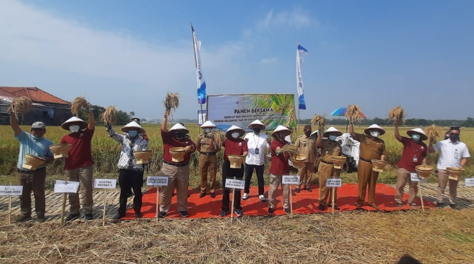 Bank Indonesia Dorong Pengolahan Lahan Organik