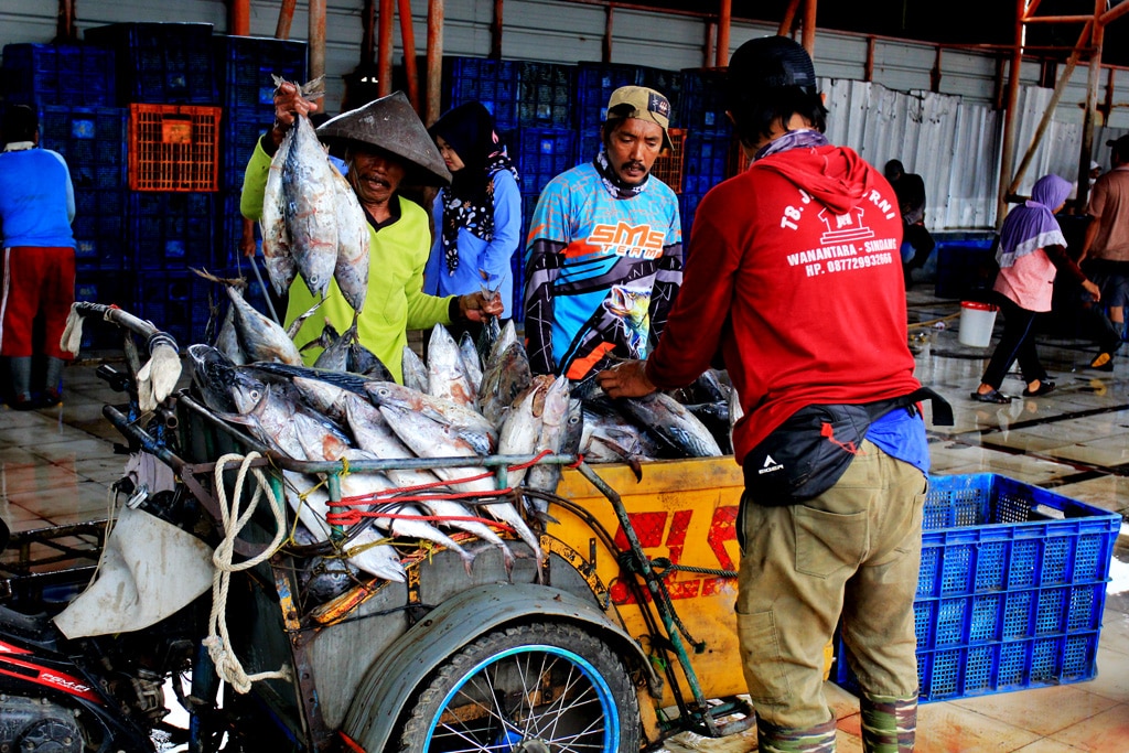 Rp10 Triliun dari Hasil Perikanan