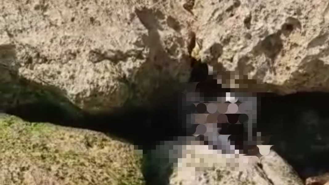 Warga Jatibarang Ditemukan Tewas di Pantai Jonggring Malang, Penyebab Belum Diketahui