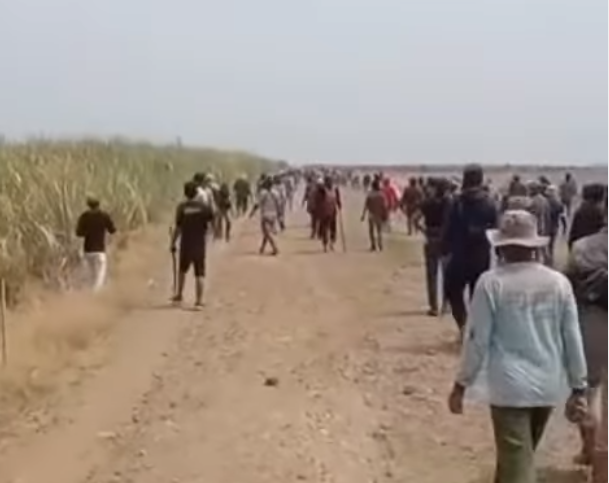 Tawuran di Kebun Tebu PG Jatitujuh Indramayu Kembali Terjadi, 1 Orang Meninggal Dunia, 1 Kritis