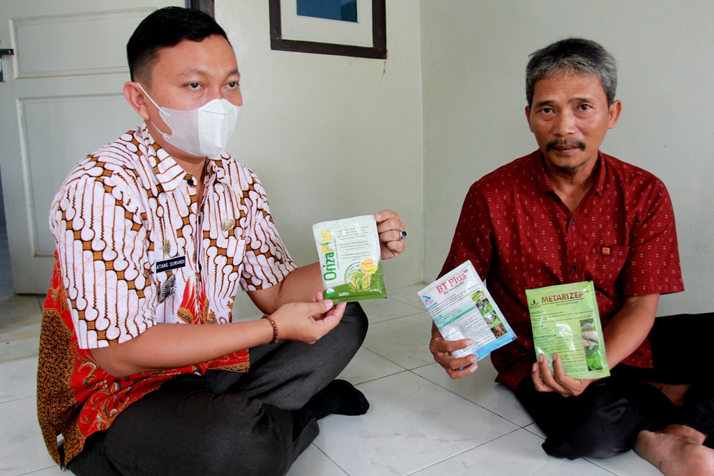 Dibantu Laboratorium Pertamina, Waklan Sukses Kembangkan Padi Organik