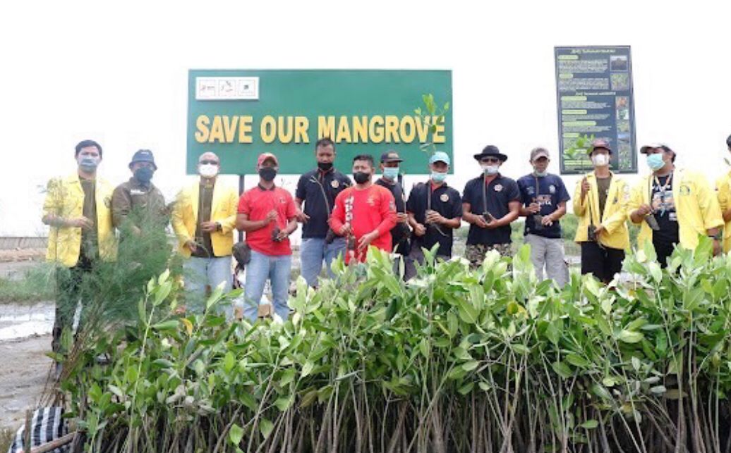 Program Unggulan BEM Vokasi UI, Ekowisata Mangrove Kali Nippon Cegah Abrasi dan Rob, Ciptakan Pusat Pertumbuha