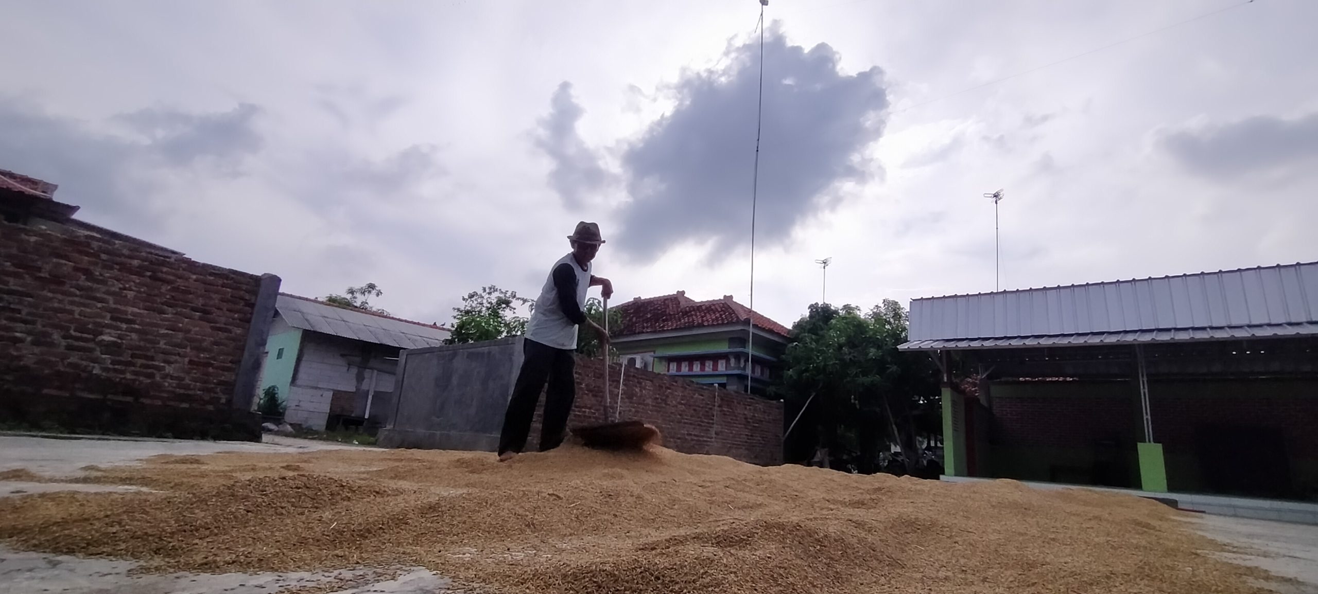 Nataru, Harga Beras Diprediksi Stabil