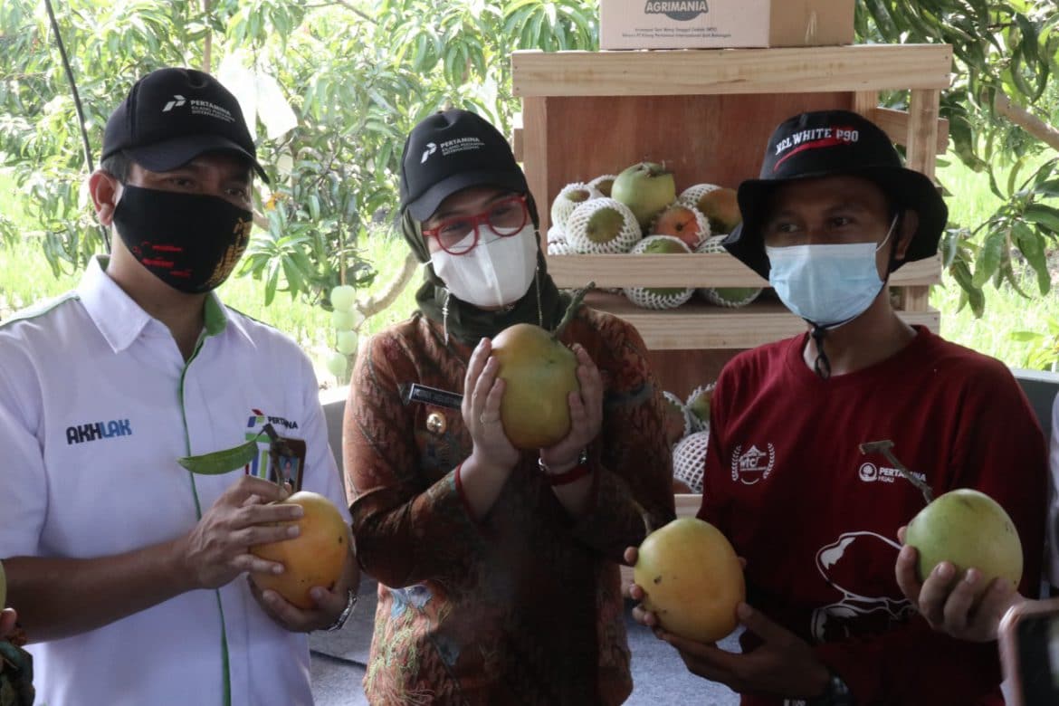 Mangga Agrimania Sudah Dipatenkan