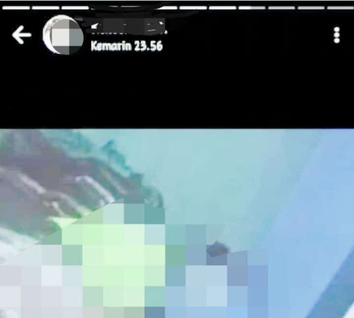 Kepijit, Kuwu di Gantar Indramayu Pamer Alat Kelamin di Status WA